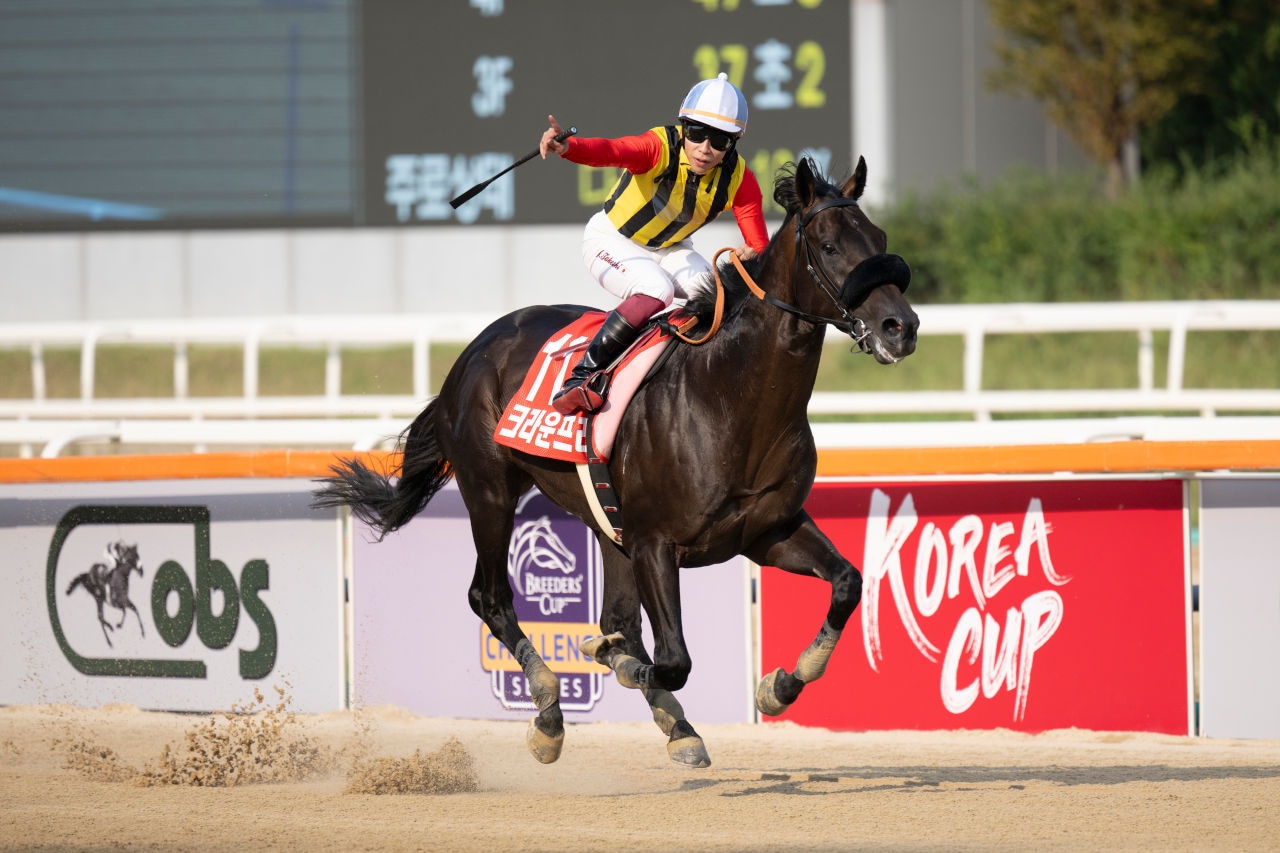 Busan Horse Racing Tips: Free Best Bets & Value Overlays | 2026-10-09