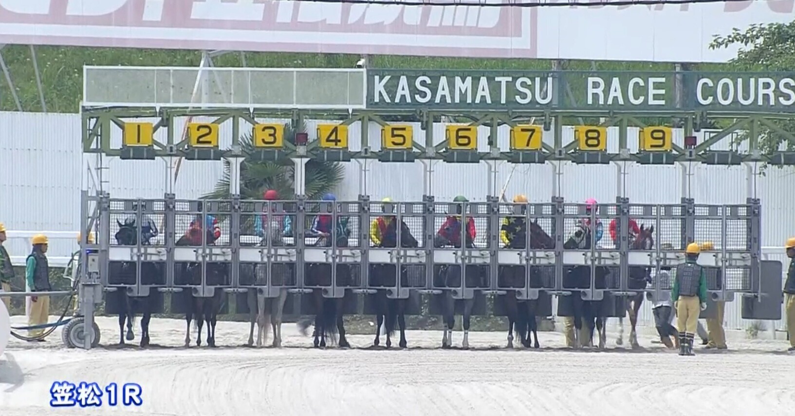 Kasamatsu Racecourse Early Favourites Audit | 2026-10-09