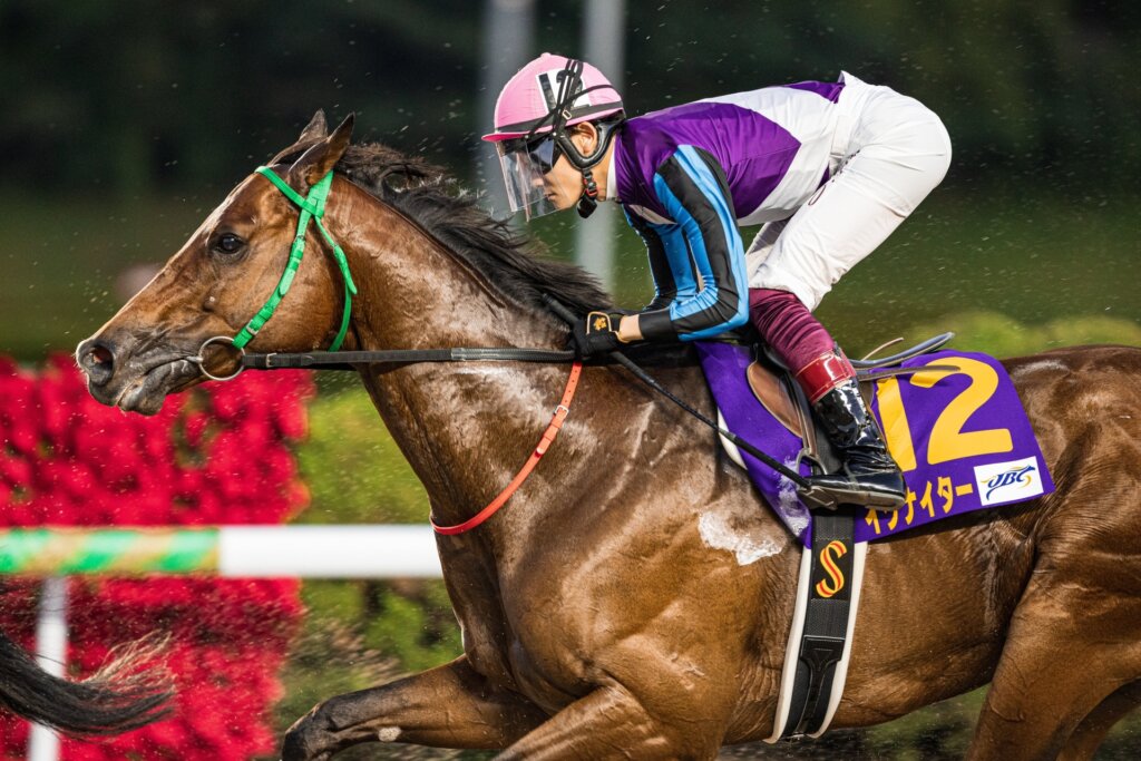 Saga Racecourse Early Favourites Audit | 2026-10-10
