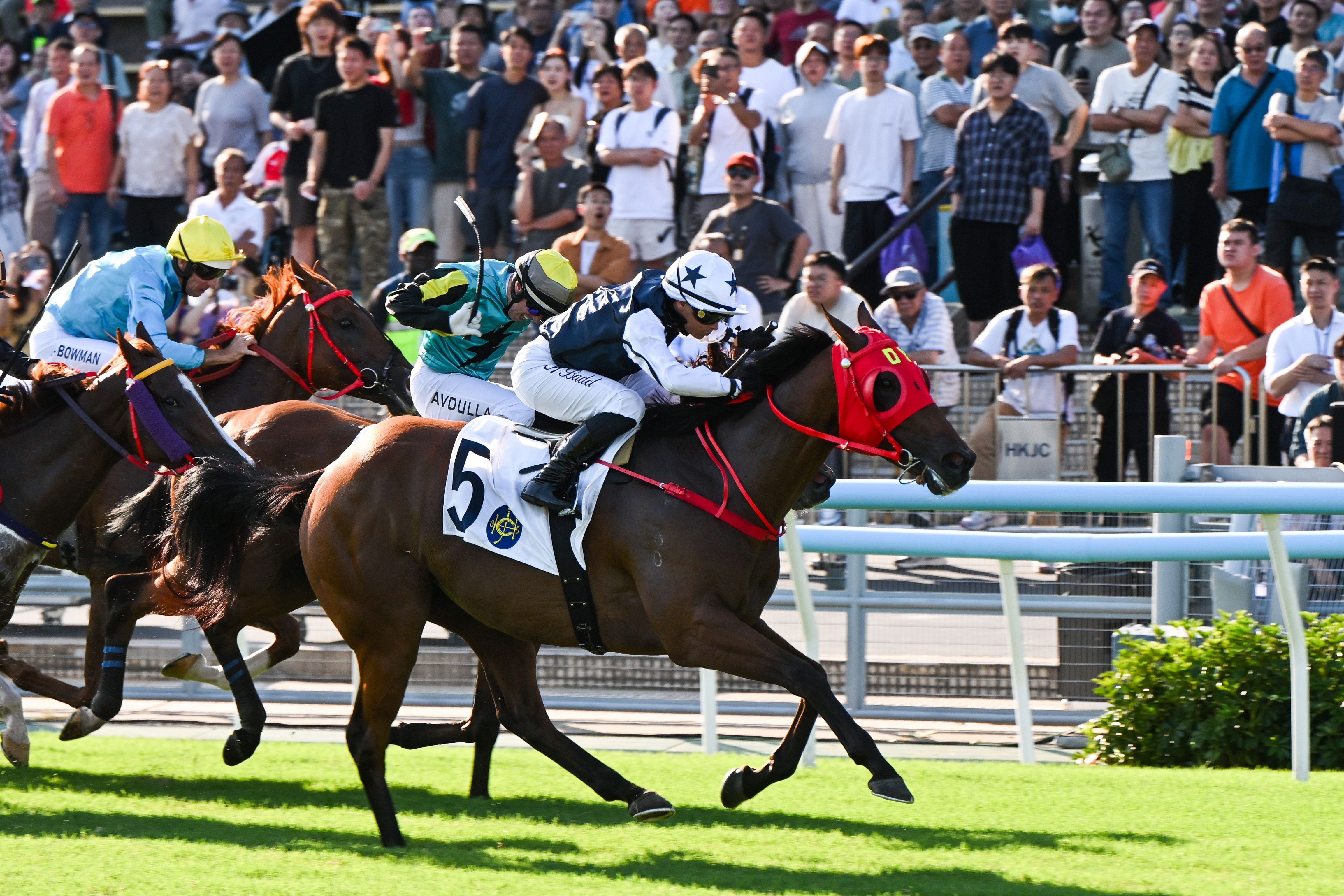 Sha Tin Horse Racing Tips: Free Best Bets & Value Overlays | 2026-10-11